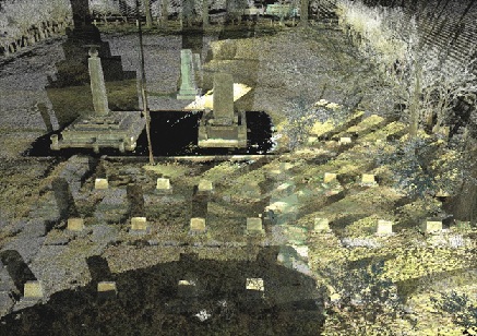 Perspective view of the overall site scanning data (Courtesy CAST)